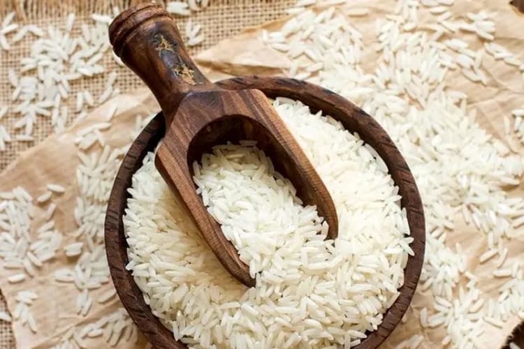 قیمت دام زنده امروز ۴ خرداد ۱۴۰۴‌/ آتش بازار دام خاموش شد + جدول