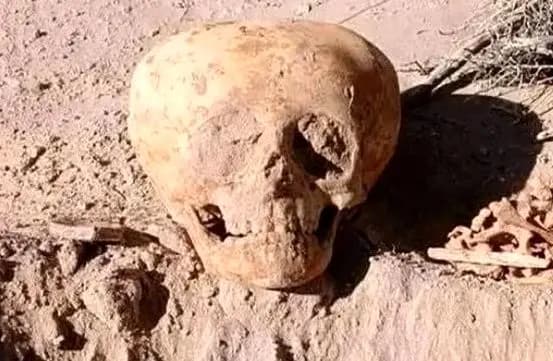 فوت 151 نفر بر اثر غرق‌شدگی در1404/استخر رایج‌ترین محل غرق‌