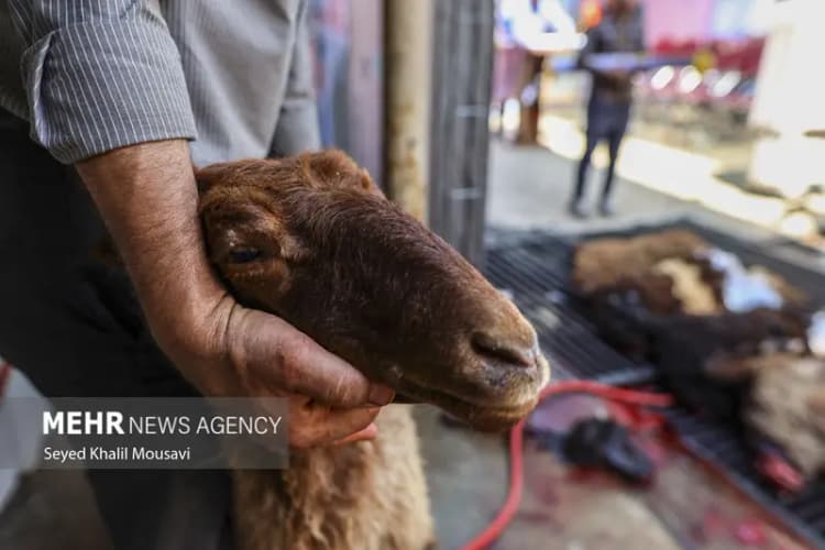 سالن تیراندازی «شهید علی آقازاده» در باغ‌موزه دفاع مقدس قم افتتاح شد