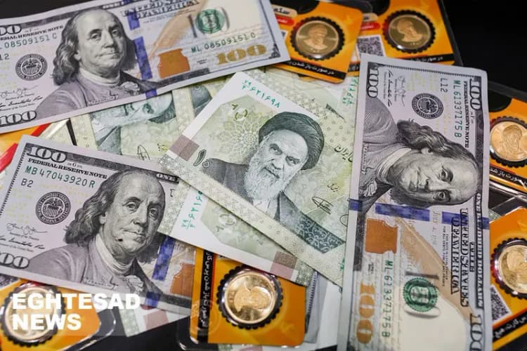 توقف واردات گوشت قرمز تأیید شد؟ بررسی جزئیات 

