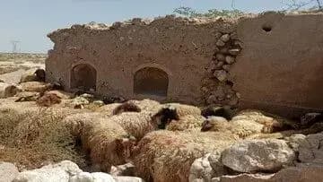  استراتژی توسعه گردشگری دریا و ساحل‌محور
