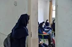 مراقب دانش آموزانتان باشید؛ ترک تحصیل بدون درد و خماری!