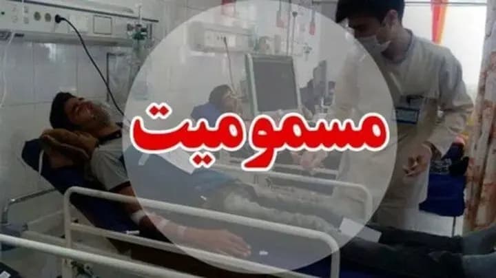 چرا شیر دادن به گربه‌ها اشتباه است؟