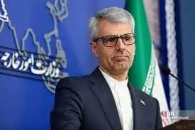 توله خرس پارک پردیسان کجا رفت؟ سکوت سازمان محیط زیست می‌شکند؟
