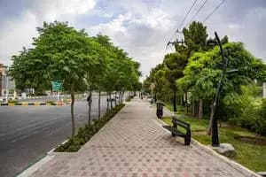 ترند