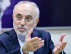 صالحی: روسیه اجازه نداد از سوخت ساخت ایران در راکتور بوشهر استفاده کنیم