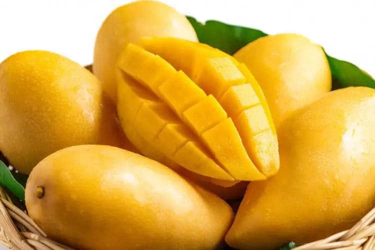 قیمت درهم امارات امروز یکشنبه ۴ خرداد ۱۴۰۴ 