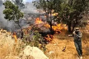 دستیار استاندار خوزستان در امور راهبردی منصوب شد

