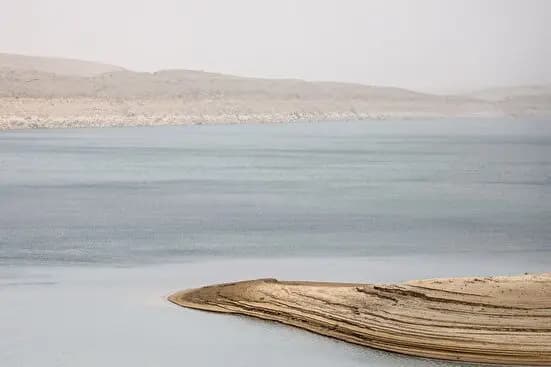 ترند