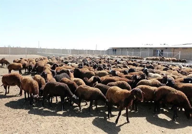ترند
