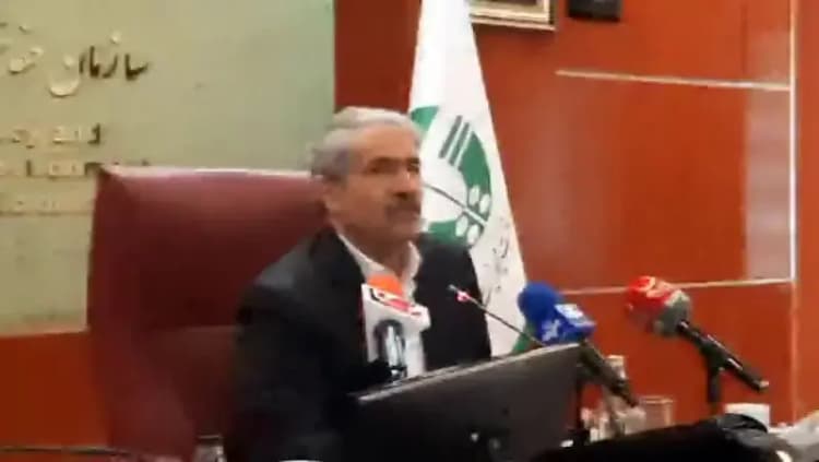 توله خرس بی مادر را از پارک پردیسان دزدیده اند؟/ سازمان محیط زیست، یک دوربین مداربسته ندارد؟