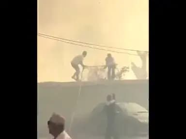 ترند