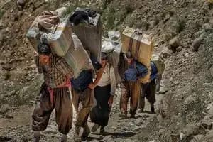 سگ‌گردانی در دنیا محدود، در ایران نامحدود!
