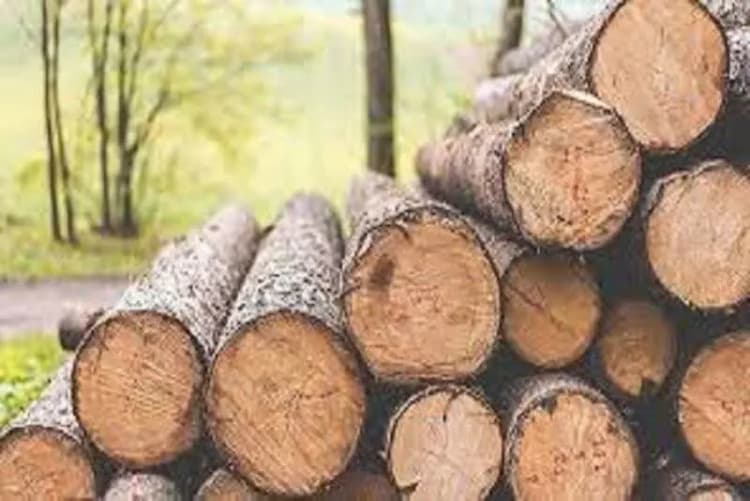 اولین ویدئو از حمله در تویسرکان