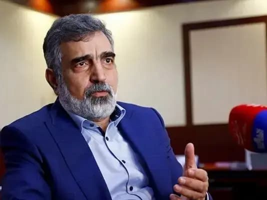 اولیانوف: قطعنامه علیه ایران نتایج مثبتی نخواهد داشت