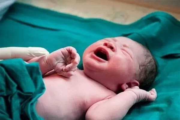 پویش مردمی شهر بدون پلاستیک در مشگین شهر