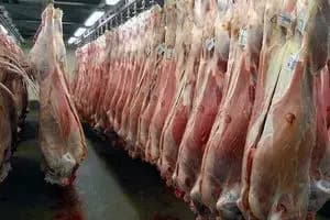قیمت گوشت قرمز امروز ۴ خرداد ۱۴۰۴