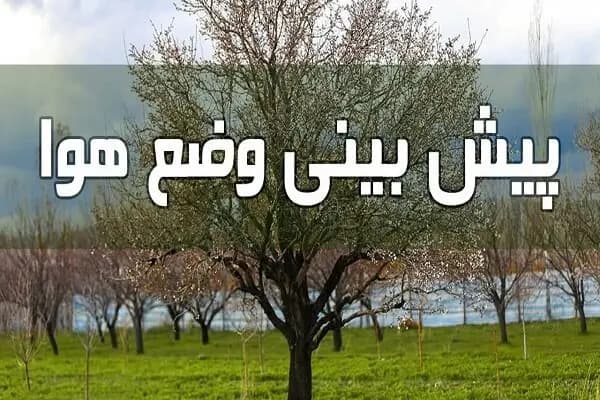 ترند
