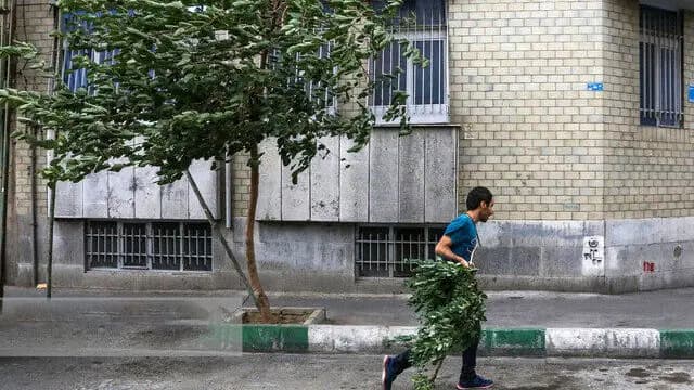 ترند