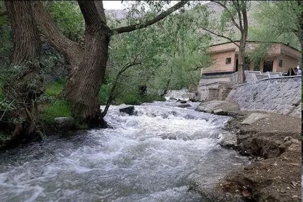 متلاشی شدن باند سارقان منازل در شهر یاسوج