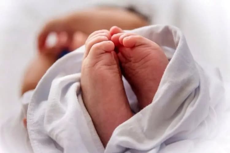 دستگیری ۲ متهم به قتل محیط‌بان خاییز