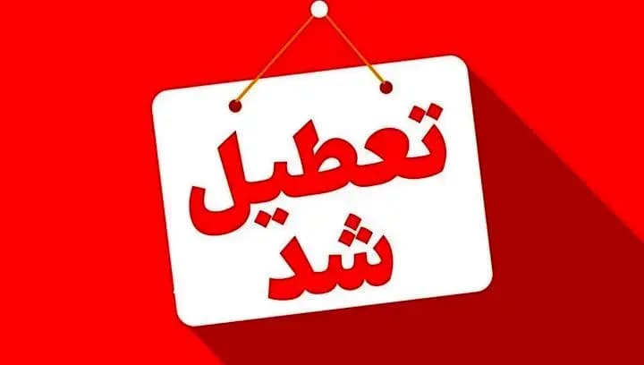 واکنش محیط زیست به خبر گم شد دومین توله خرس از پارک پردیسان