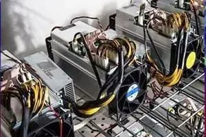قهوه روبوستا بهتر است یا عربیکا؟