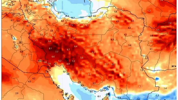 مهربانی های مرگبار؛ به جوجه جغدهای دره توبیرون دزفول دست نزنید / آنها در حال تعلیم هستند + فیلم