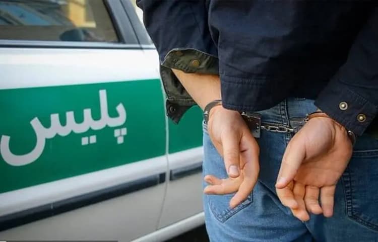  فیل غول‌پیکر مهمان یک فروشگاه شد!