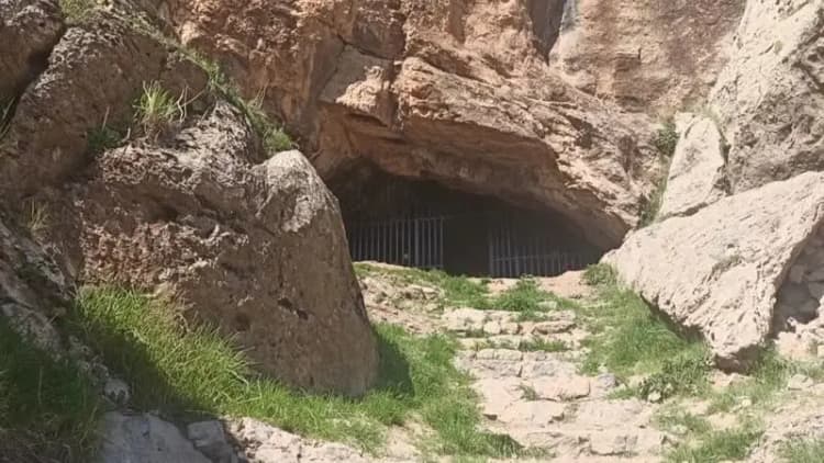 ترند