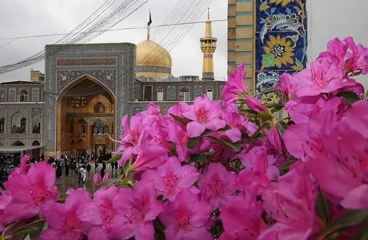 غربت امام باقر(ع) نتیجه بی‌بصیرتی جامعه بود