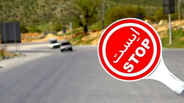 ممنوعیت رسمی سگ‌گردانی در معابر و پارک‌های عمومی گلستان