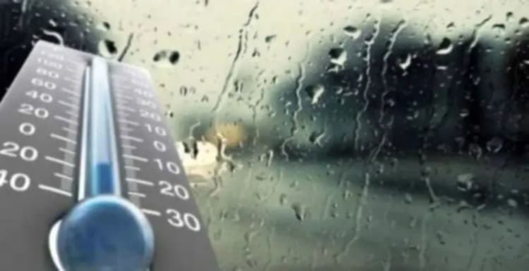 دورکارها بالاخره بیمه می‌شوند