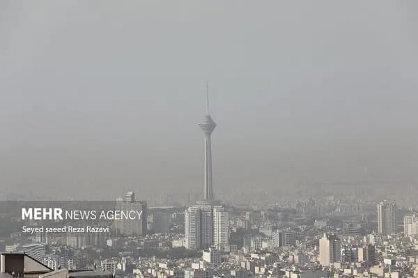 ترند