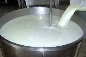 ترند