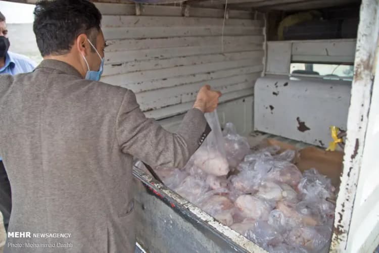 تامین نیروی انسانی بعد از خروج اتباع، مهم‌ترین چالش کاشان/کلینیک کسب و کار دانشگاه باید راهکار ارائه کند! 