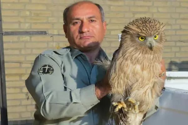 تاکید استاندار قزوین بر حمایت دولت از رانندگان کامیون
