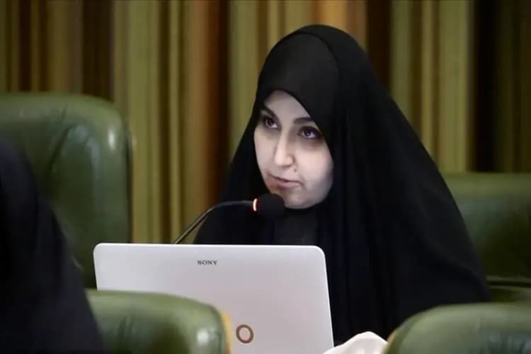 مدنی‌زاده؛ گزینه پیشنهادی وزارت اقتصاد به مجلس معرفی شد