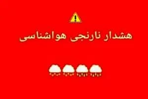 ترند