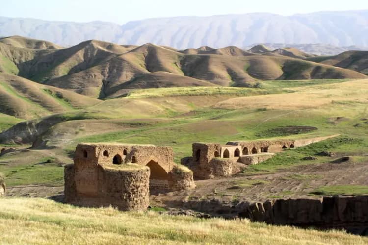 ترند