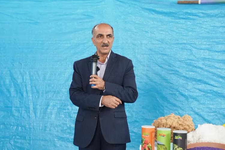 قیمت کوئیک، امروز ۱۸ خرداد ۱۴۰۴