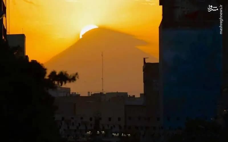 ترند