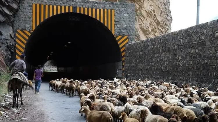 ثبت فرش دست‌باف مهربان