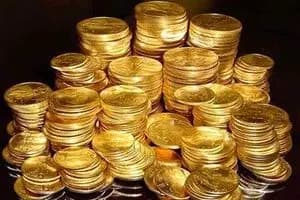 روزآمدی فناوری بذر با مشارکت بخش خصوصی انجام شود