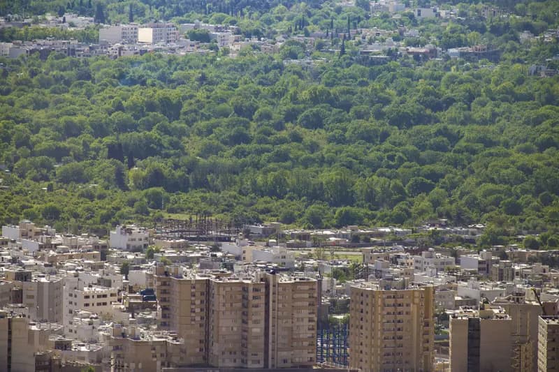 ترند