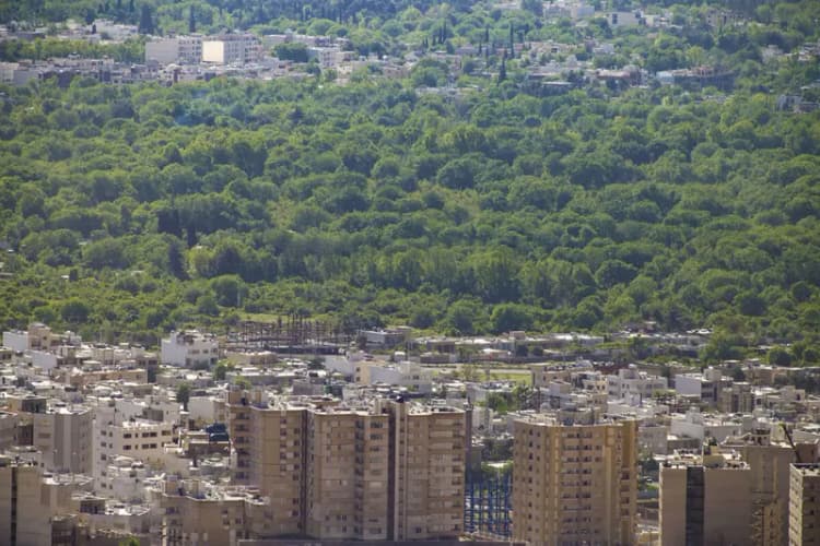 ترند