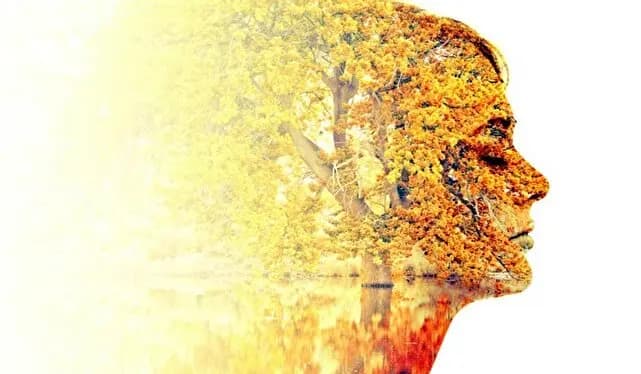 «کیف ثروت» دیجی‌پی رونمایی شد؛ ترکیب نوآورانه سرمایه‌گذاری و خرید اعتباری