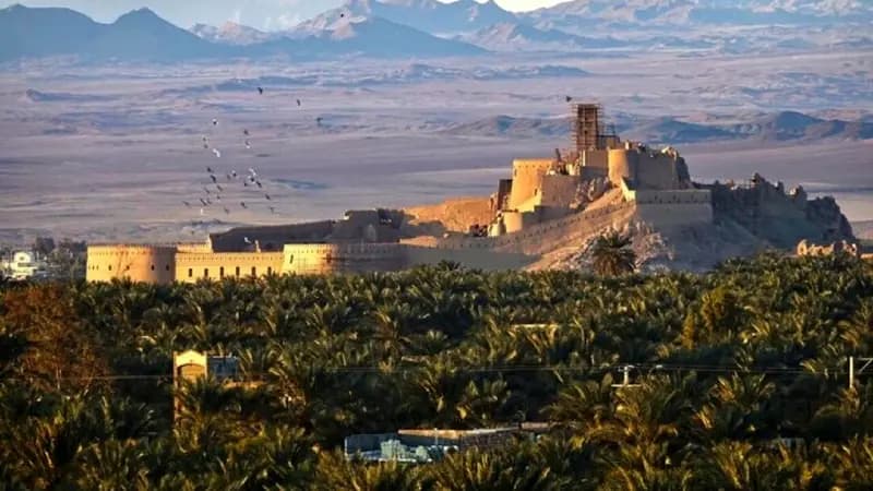 چند سودجو به جان باغ شهر جهانی بم افتادند