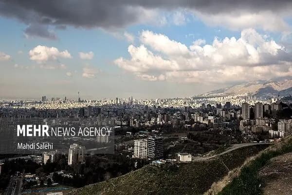 مدیرعامل سازمان حسابرسی: با پول حلیم بادمجان، انتظار شیشلیک داریم!