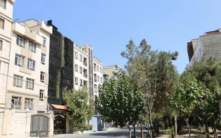 ترند